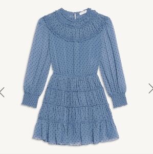 Sandro clip dot ruffled mini dress 38